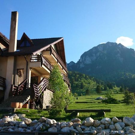 Taverna Pietrei Craiului Zărneşti المظهر الخارجي الصورة