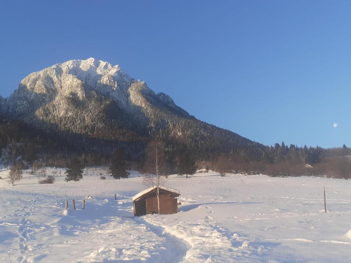Taverna Pietrei Craiului Zărneşti المظهر الخارجي الصورة